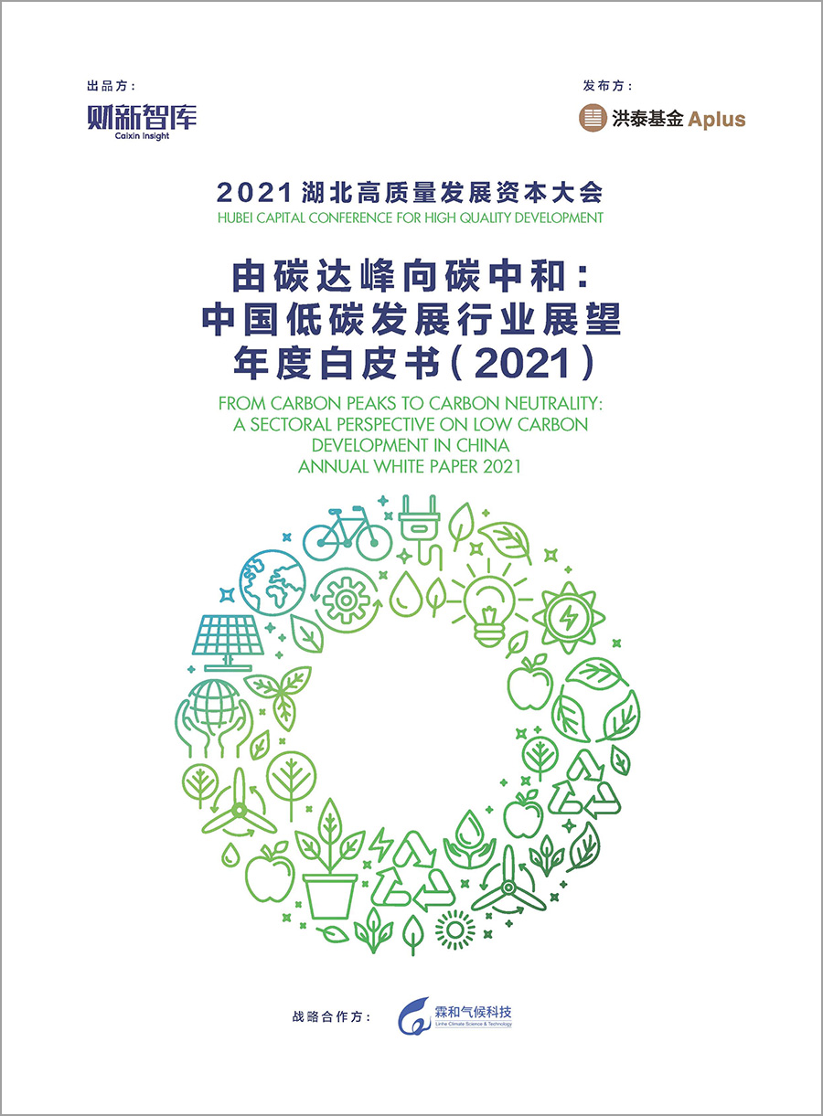 年度白皮书(2021)》近日发布,以双碳目标列入国家顶层设计为切入点
